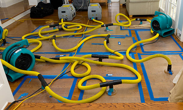 Professional Crawl Space Water Removal technician working in Clinton, NC